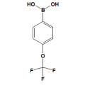 4- (Trifluormethoxy) benzolboronsäure CAS Nr. 139301-27-2